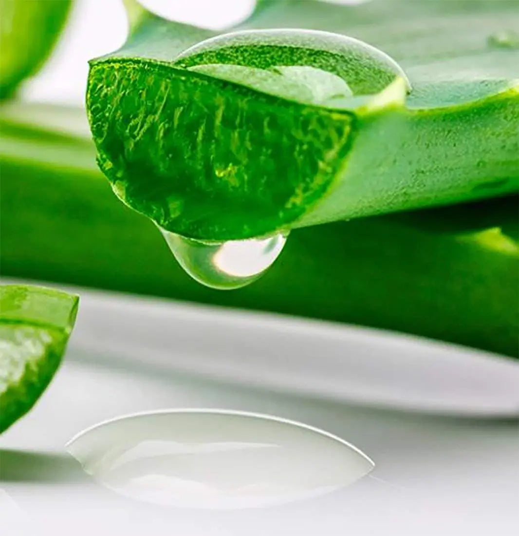 Ice Finalizing Gel 8 fl oz: Soothing Aloe Vera After Sun Exposure for Refreshing Cooling Relief Lotion - Sun Laboratories by Giesee aftersun aloe vera lotion